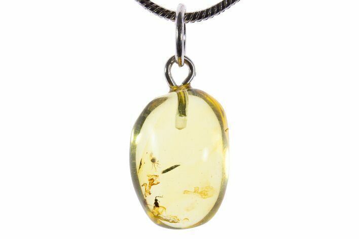 Polished Baltic Amber Pendant (Necklace) - Contains Fly! #339605